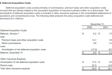 Deferred Acquisition Cost (source - Lemonade Annual Report 2022)