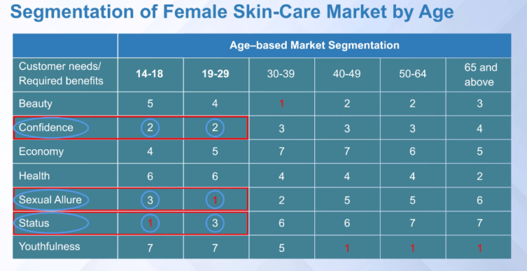 Market Segmentation Matrix